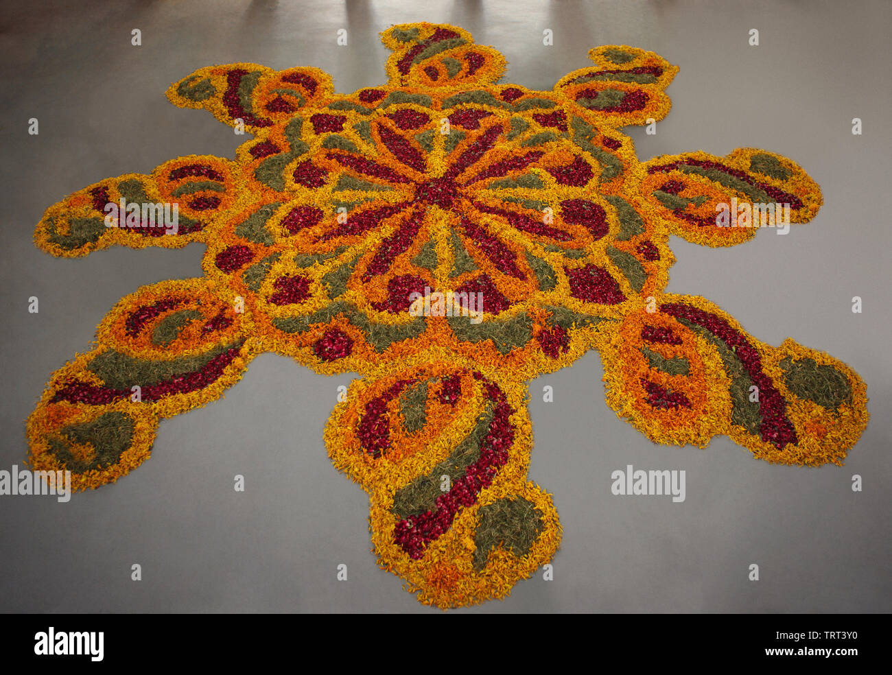 Close-up of colorful rangoli on the floor, India Stock Photo - Alamy