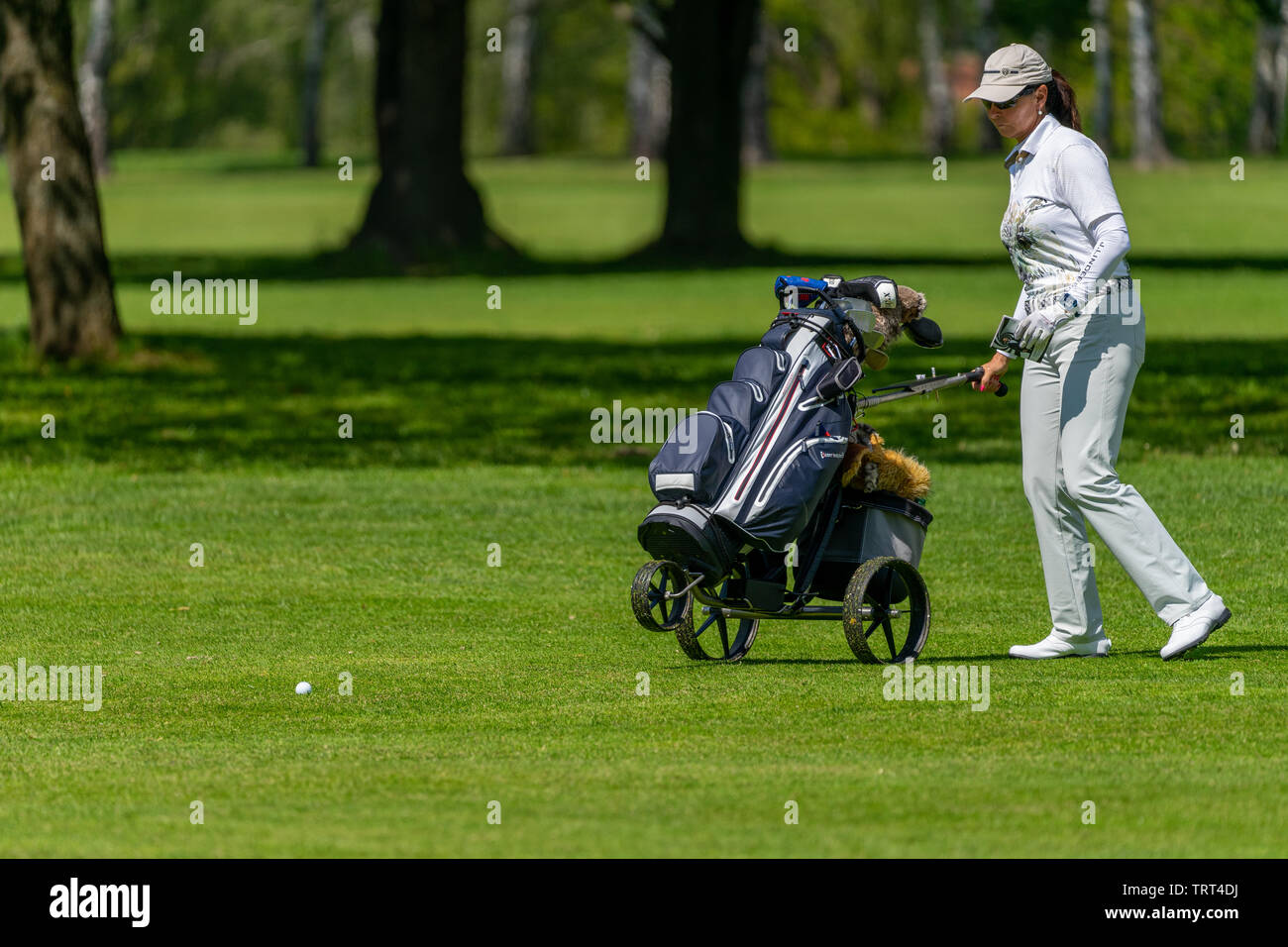 Izod ladies store golf apparel