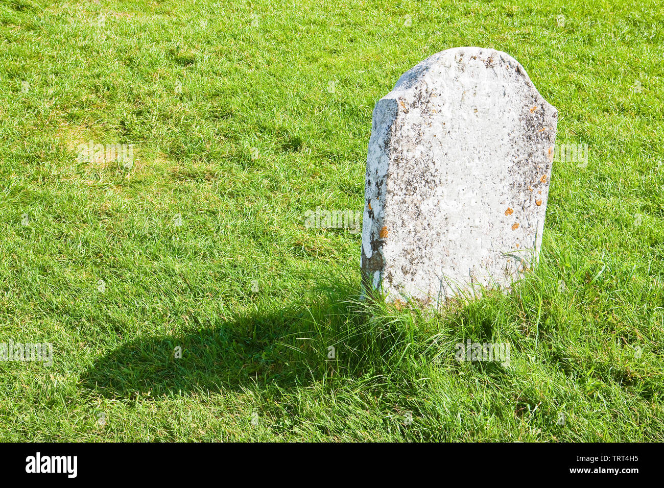 White memorial stone lying on a green grass field image with copy