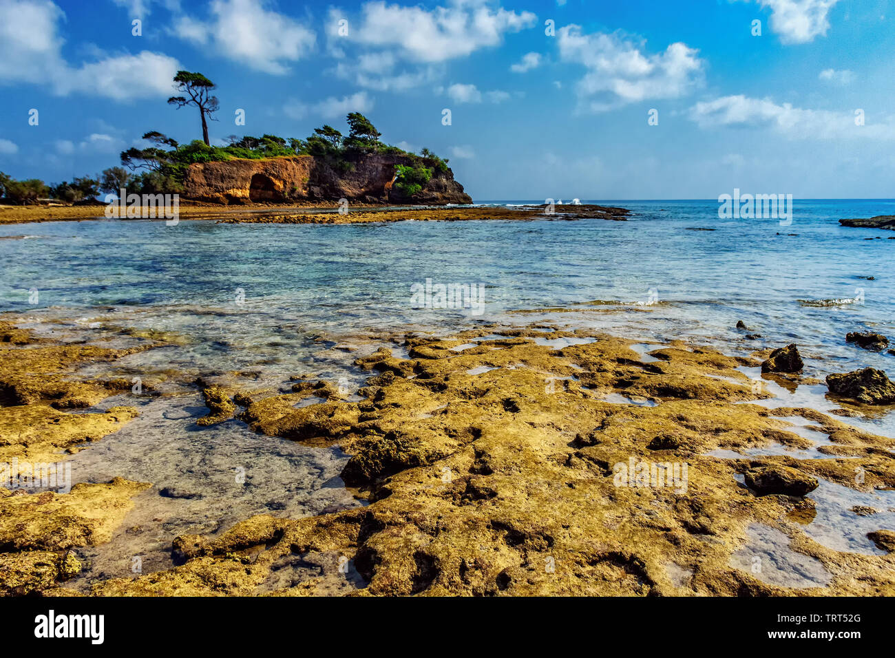 Natural Bridge made of dead coral and sea bed of dead corals at Neil Island, Andaman, Port blare. Stock Photo