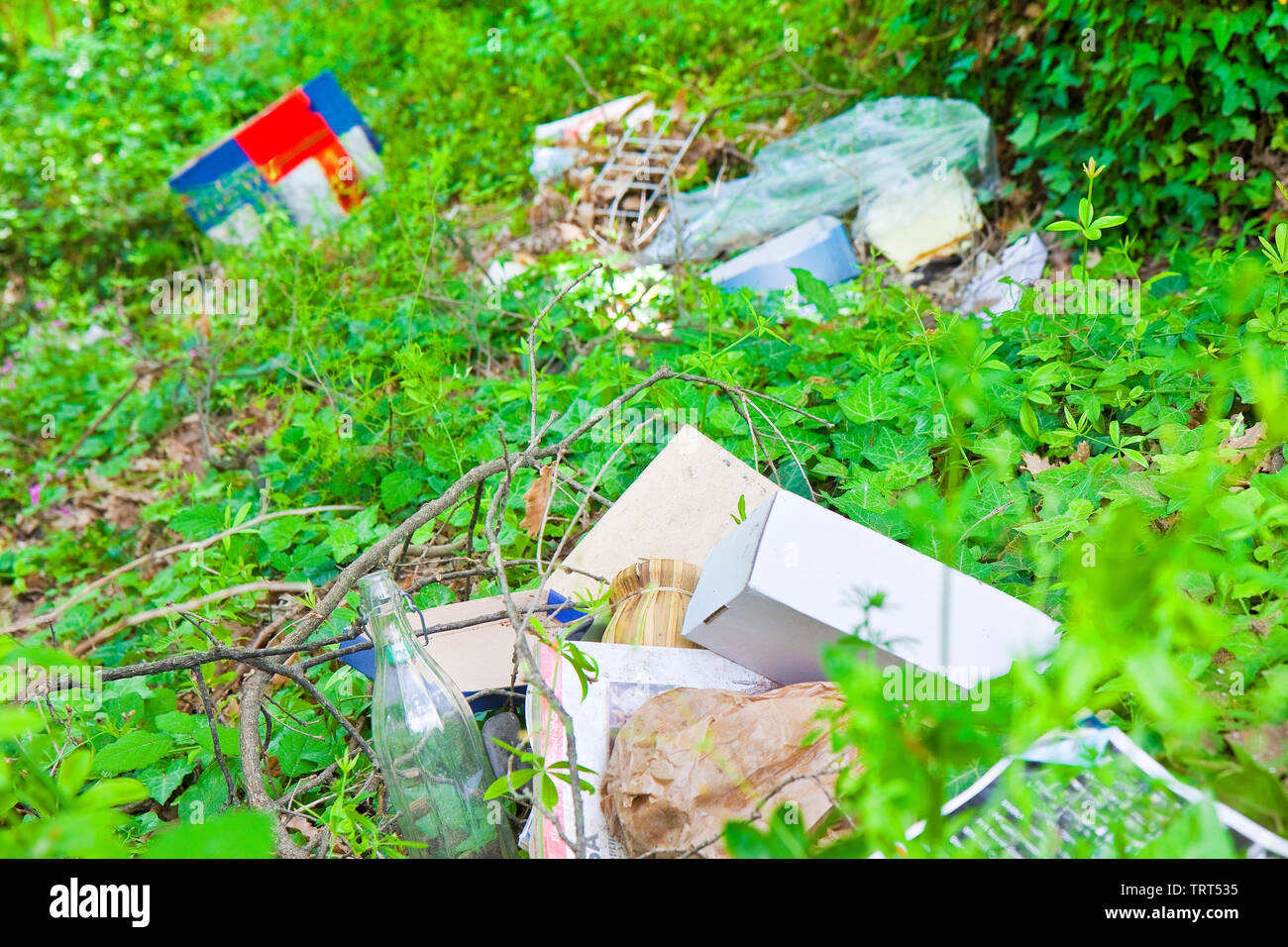Illegal Dumping Various Objects Abandoned In Nature Stock Photo Alamy