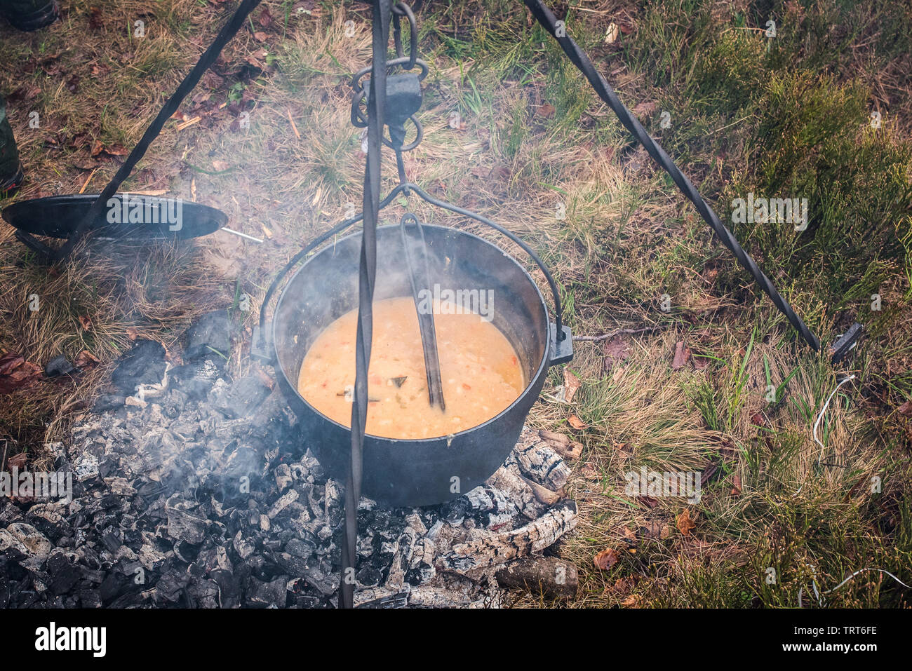 Trail horse riding in Bosnian mountains. Grilled fish, coffee, beans on the fire are prepared in nature ambient. Stock Photo