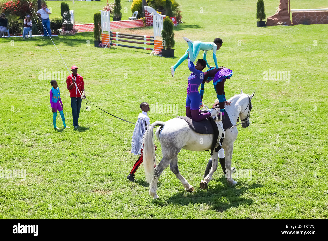 Johannesburg, South Africa October 08 2011 Equestrian Show Jumping