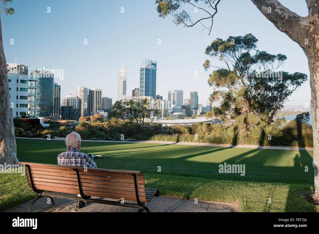 Unrecognizable man sitting on a bench in Kings Park, Peth, enjoying the view of the cities skyline on a sunny day. Stock Photo
