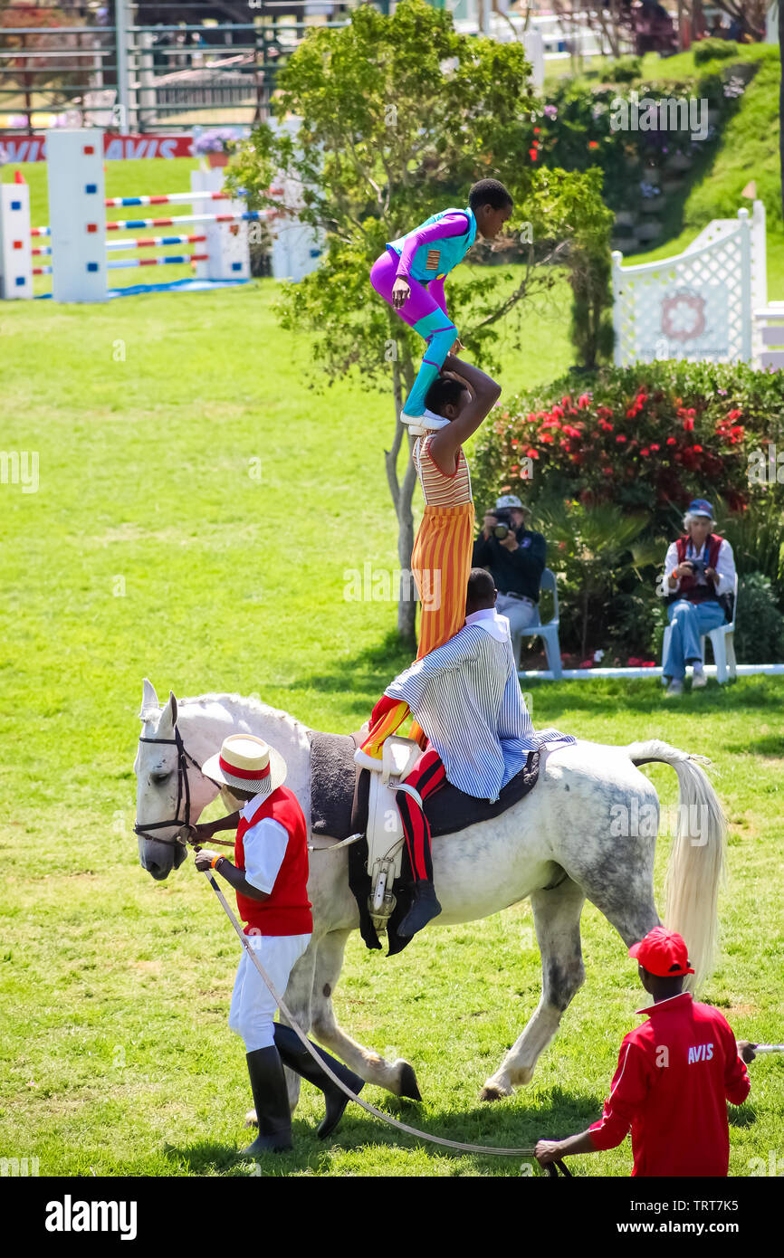 Johannesburg, South Africa October 08 2011 Equestrian Show Jumping