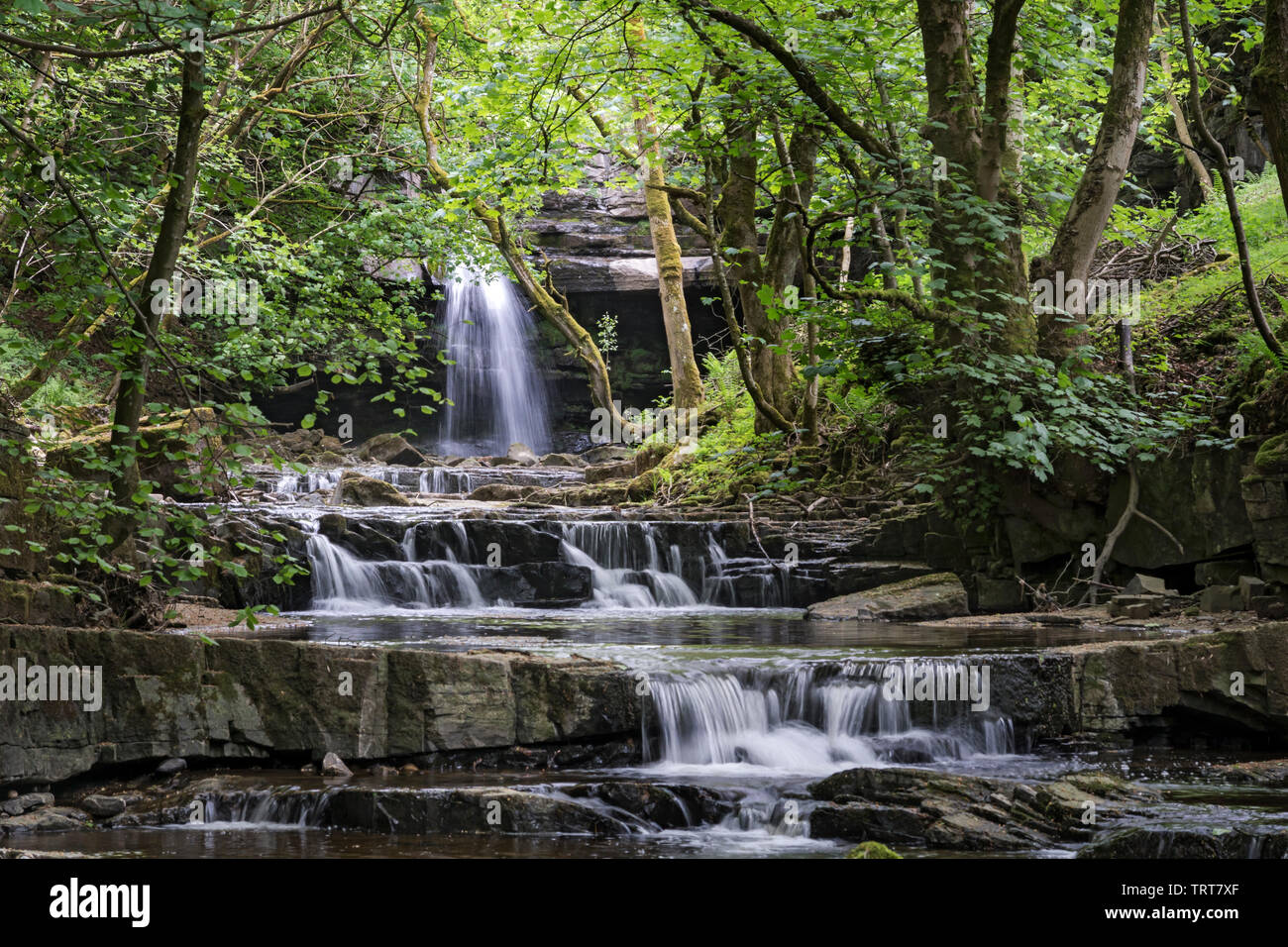 Summerhill hires stock photography and images Alamy