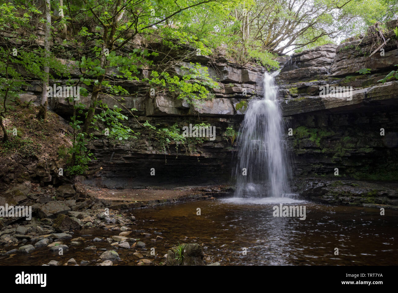 Summerhill Force, Teesdale, UK Stock Photo