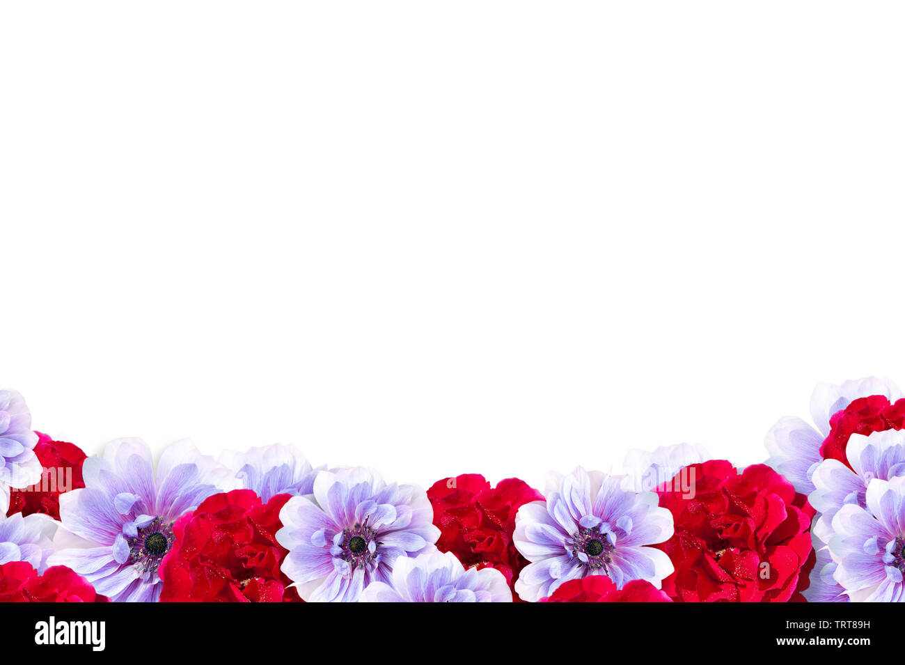 Pink and red flower frame isolated on white background Stock Photo - Alamy