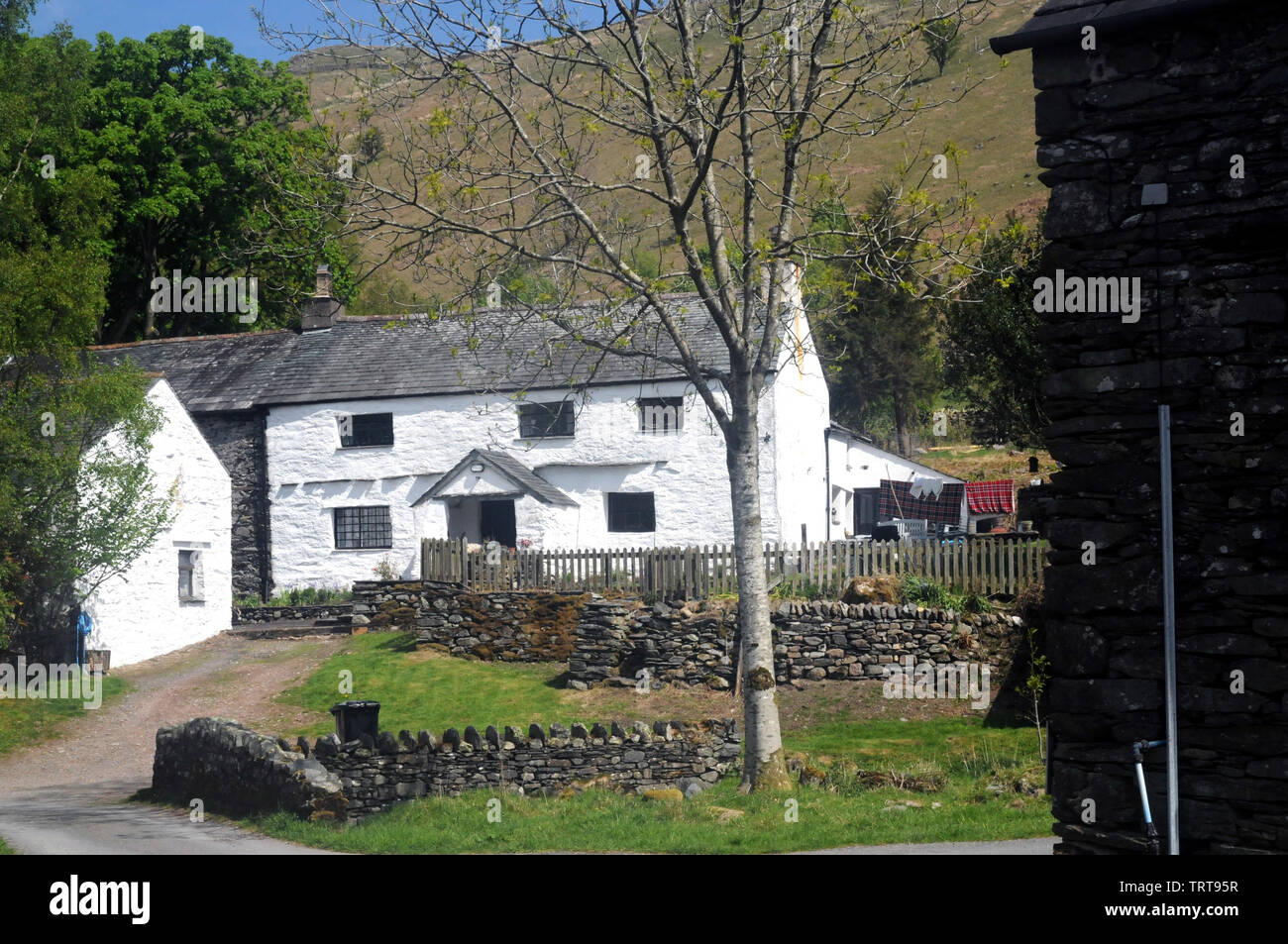 Typical Lakeland houses in the tiny hamlet of Watendlath near Keswick. Watendlath is owned by the National Trust and is accessible to visitors by road Stock Photo