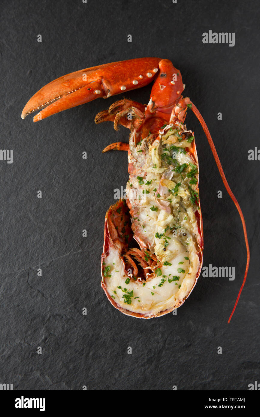 Half a grilled lobster and claw from a lobster, Homarus gammarus, caught in a lobster pot in the English Channel. It has been first boiled, then split Stock Photo