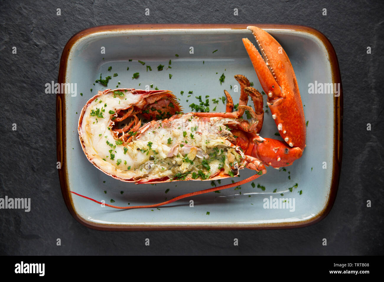 Half a grilled lobster and claw from a lobster, Homarus gammarus, caught in a lobster pot in the English Channel. It has been first boiled, then split Stock Photo