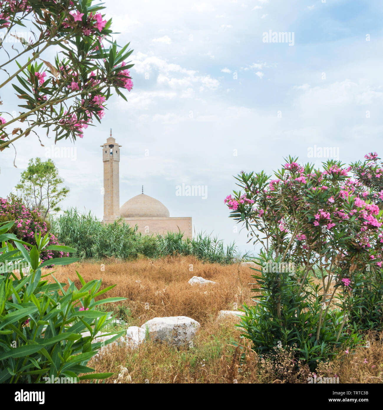 Mosque near Al Mina archaeological site, Tyre, Lebanon Stock Photo
