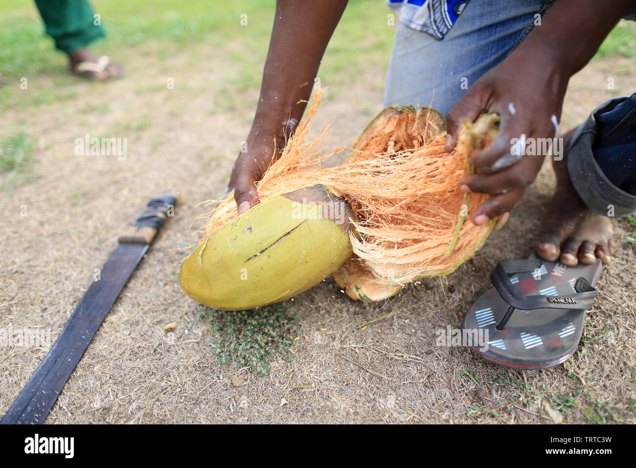 Coconut milk can hi-res stock photography and images - Alamy
