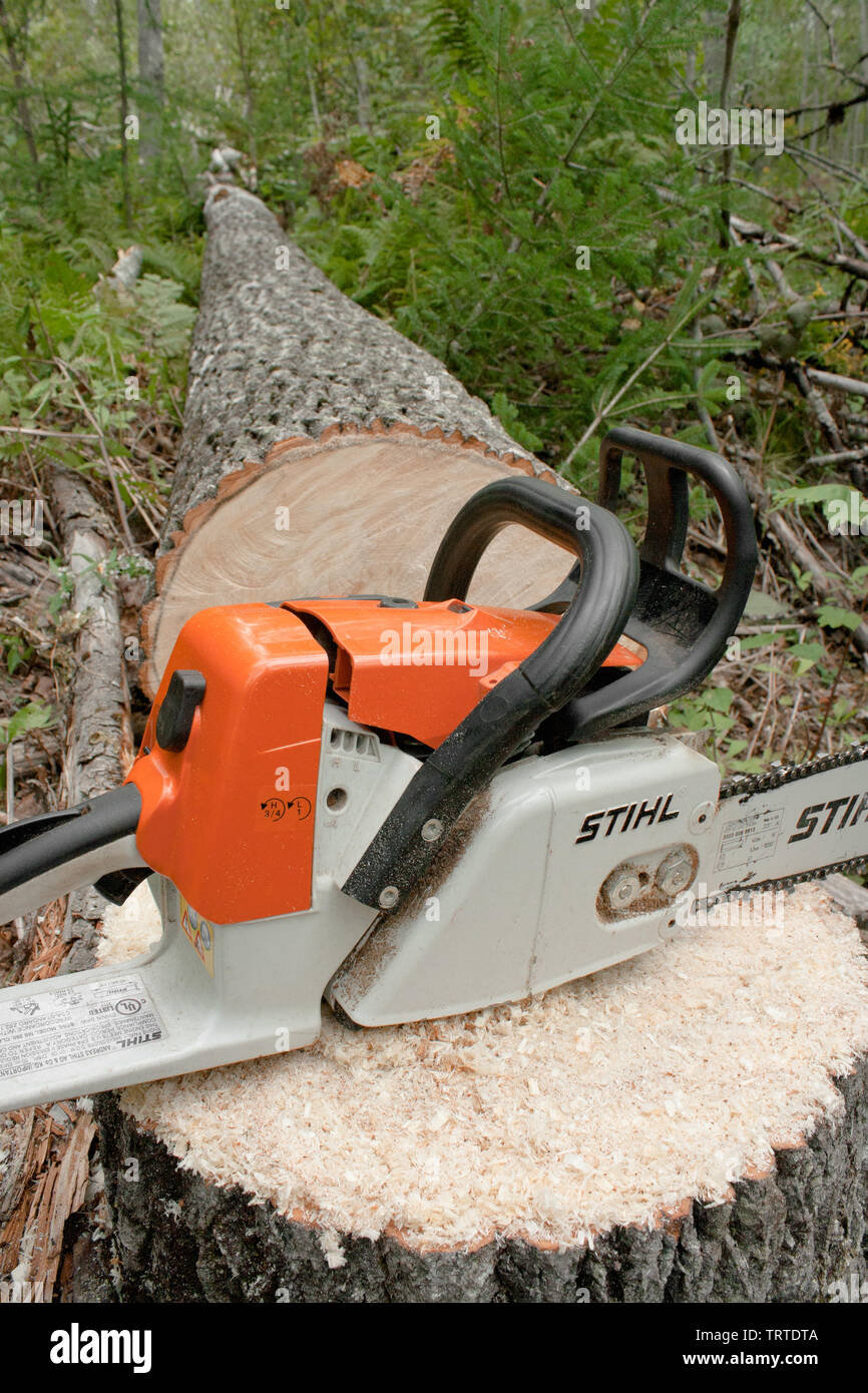 Pleasant Valley, Canada - September 8, 2010: Stihl chainsaw and felled  tree. Stihl is a German manufacturer of chainsaws and other power  equipment. Th Stock Photo - Alamy