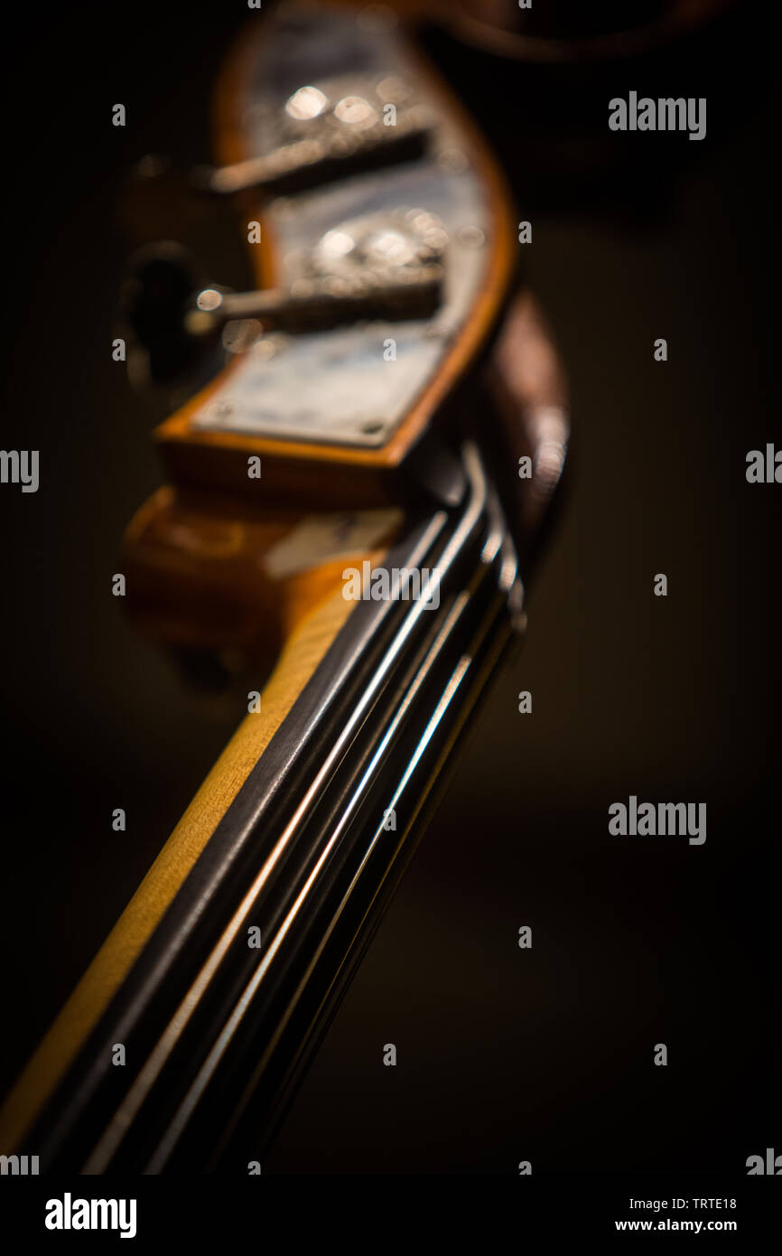 Close up shot of a double bass scroll and tuning pegs Stock Photo Alamy