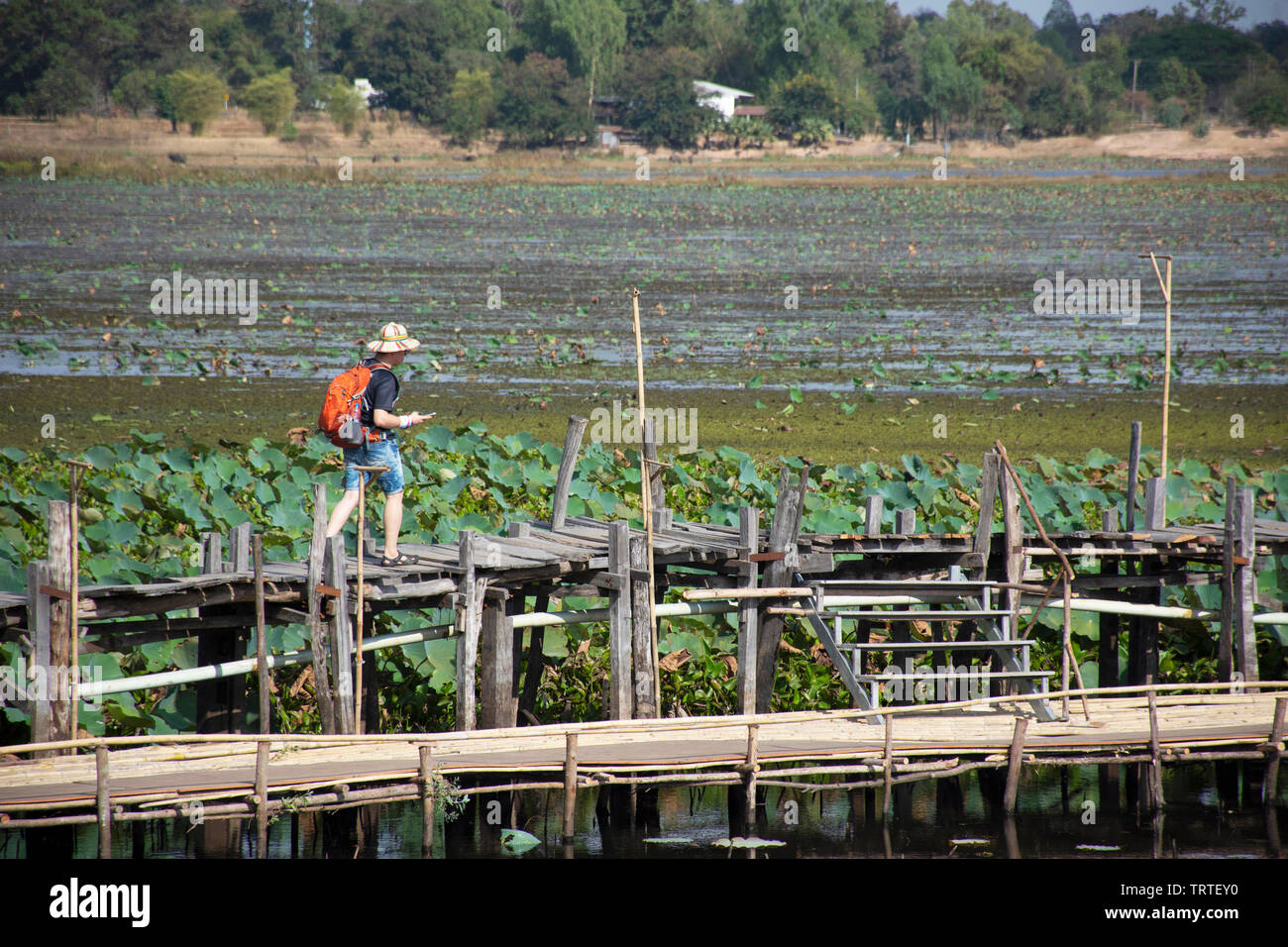 Thai people and foreigner travelers travel and walking visit on Kae Dam ...