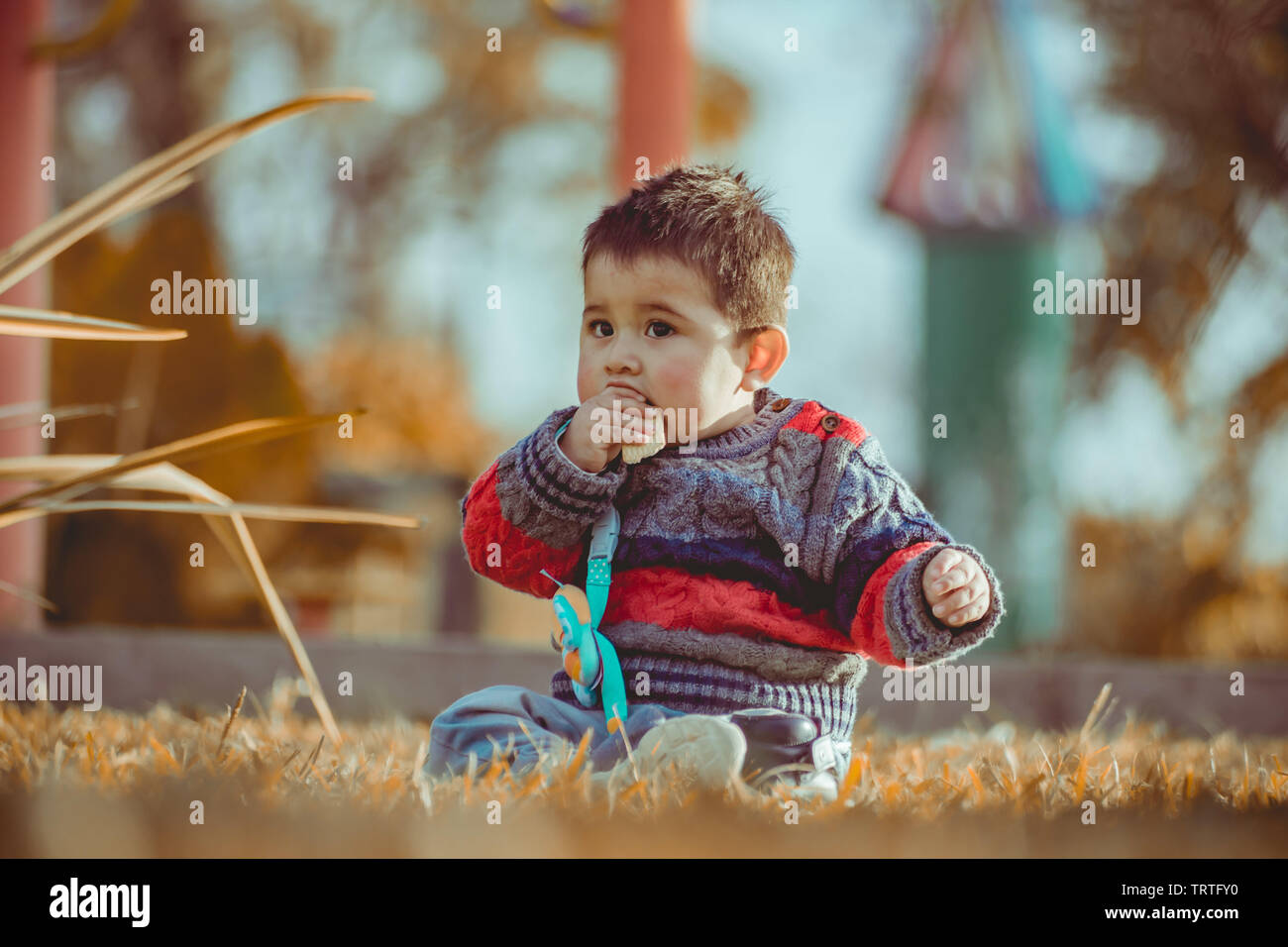 Happy child playing park grass hi-res stock photography and images - Alamy