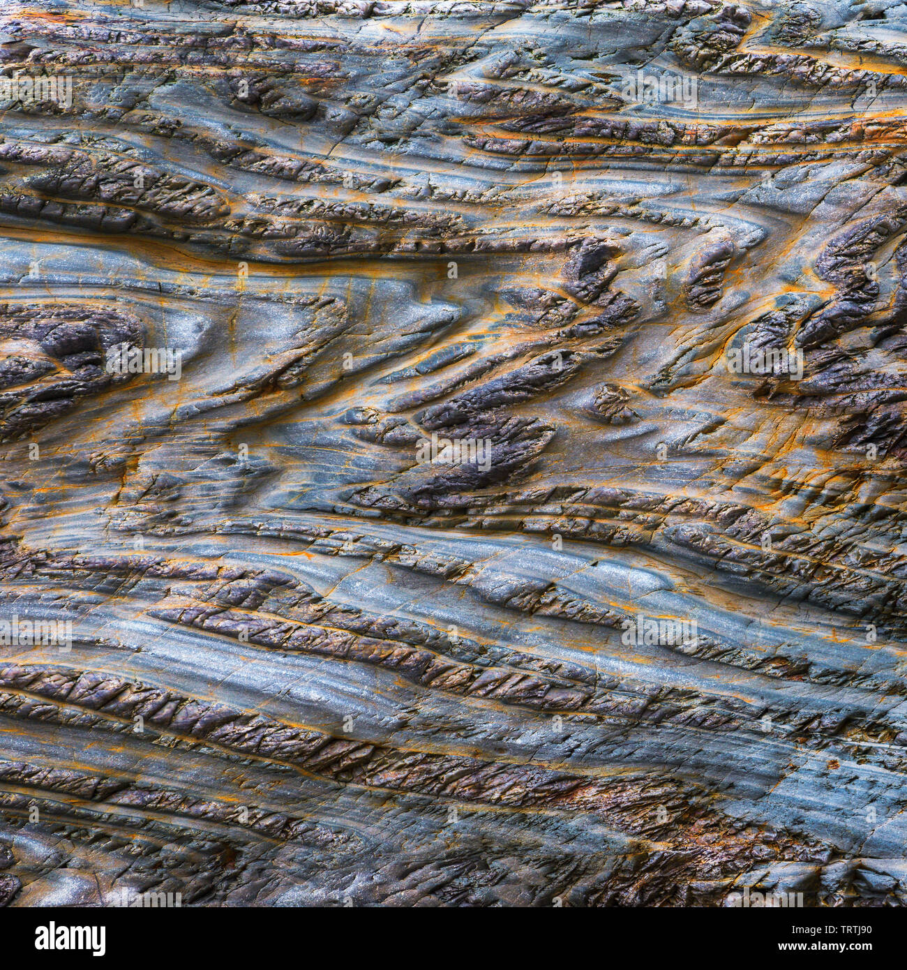 Vertical Folded Layered Rocks Folded rock layers showing hi-res stock photography and images - Alamy