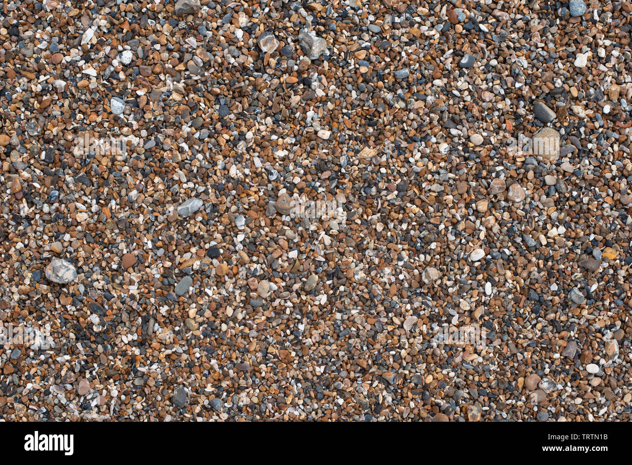 Small pebbles on a beach Stock Photo