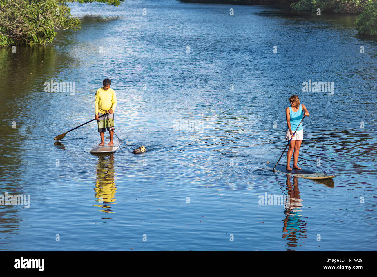 Paddle boarding hawaii hires stock photography and images Alamy