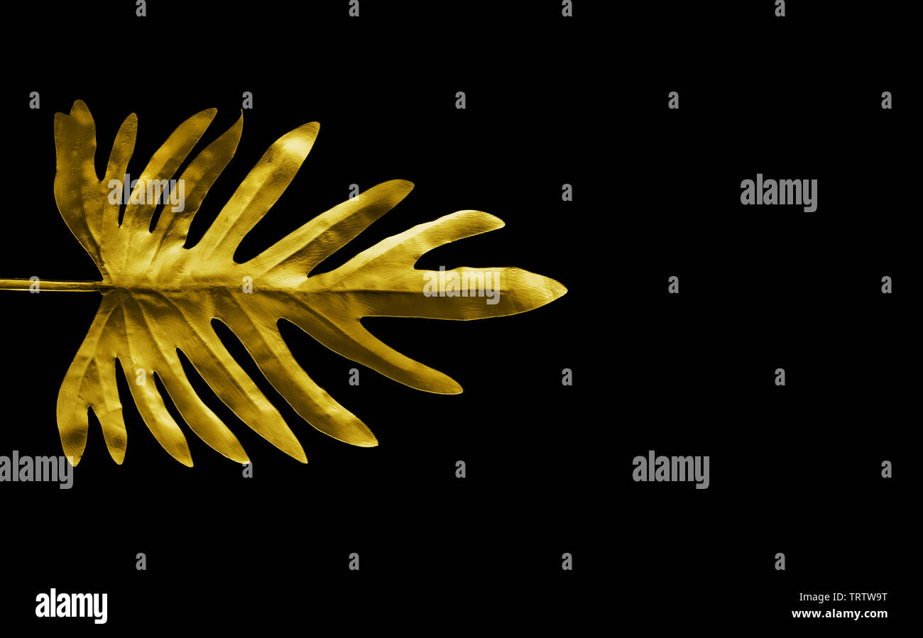 Collection of tropical leaves,foliage plant in gold color on black space background.Abstract leaf decoration design.Exotic nature for cover template Stock Photo