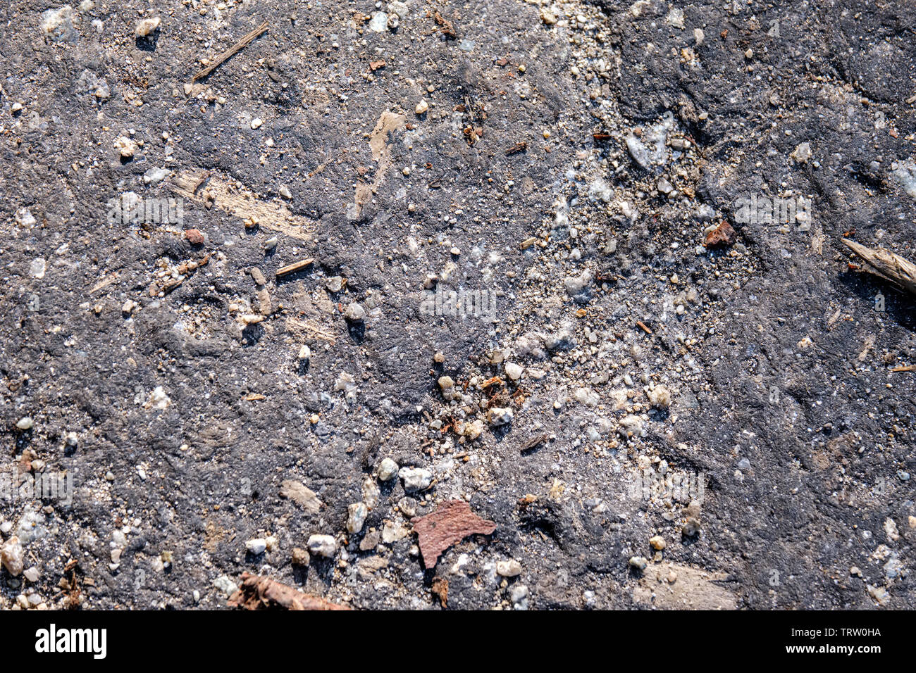 ground soil texture with tree roots and old vegetation leftovers ...