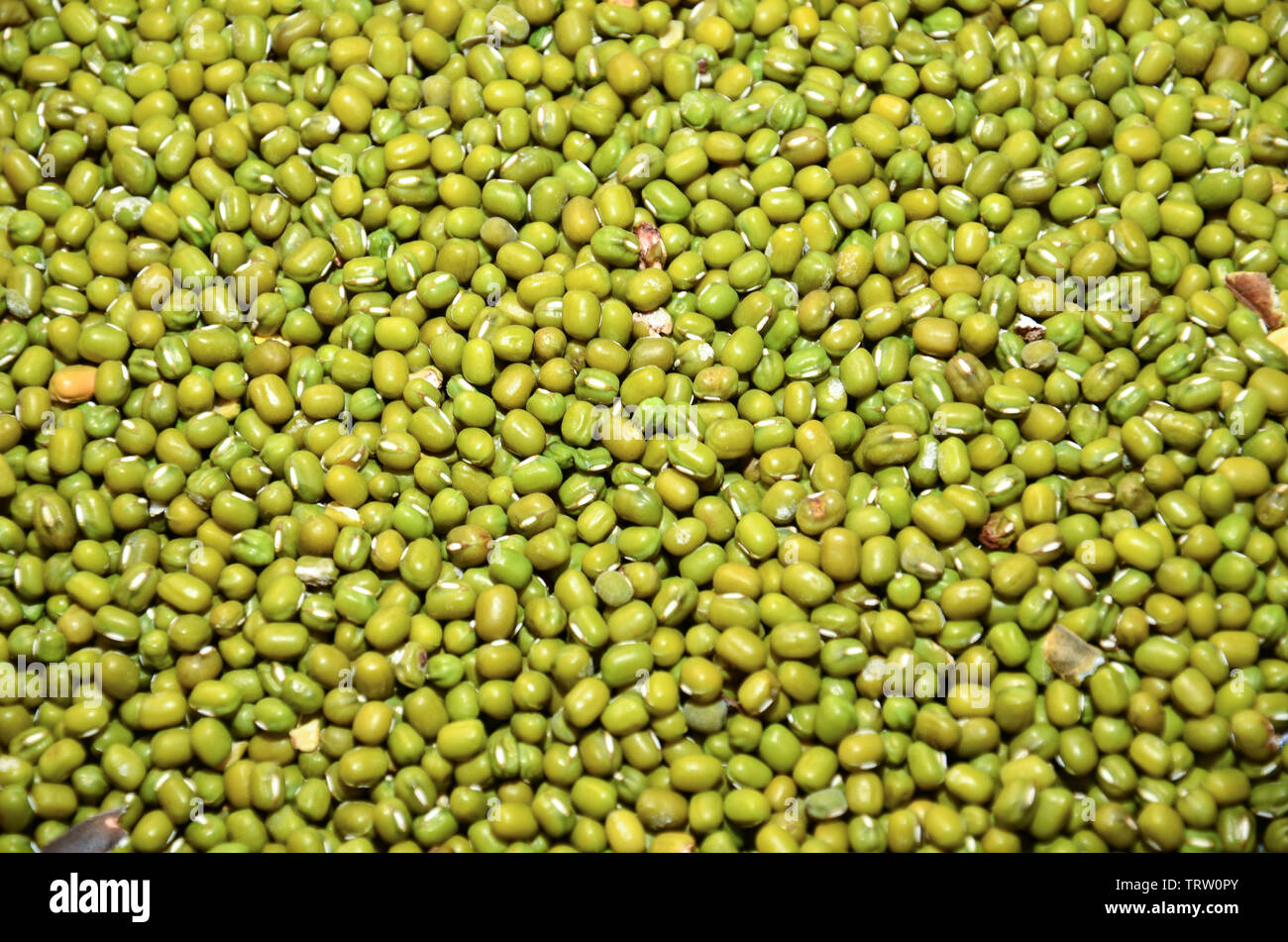 Seed of green beans in market for cultivation Stock Photo Alamy