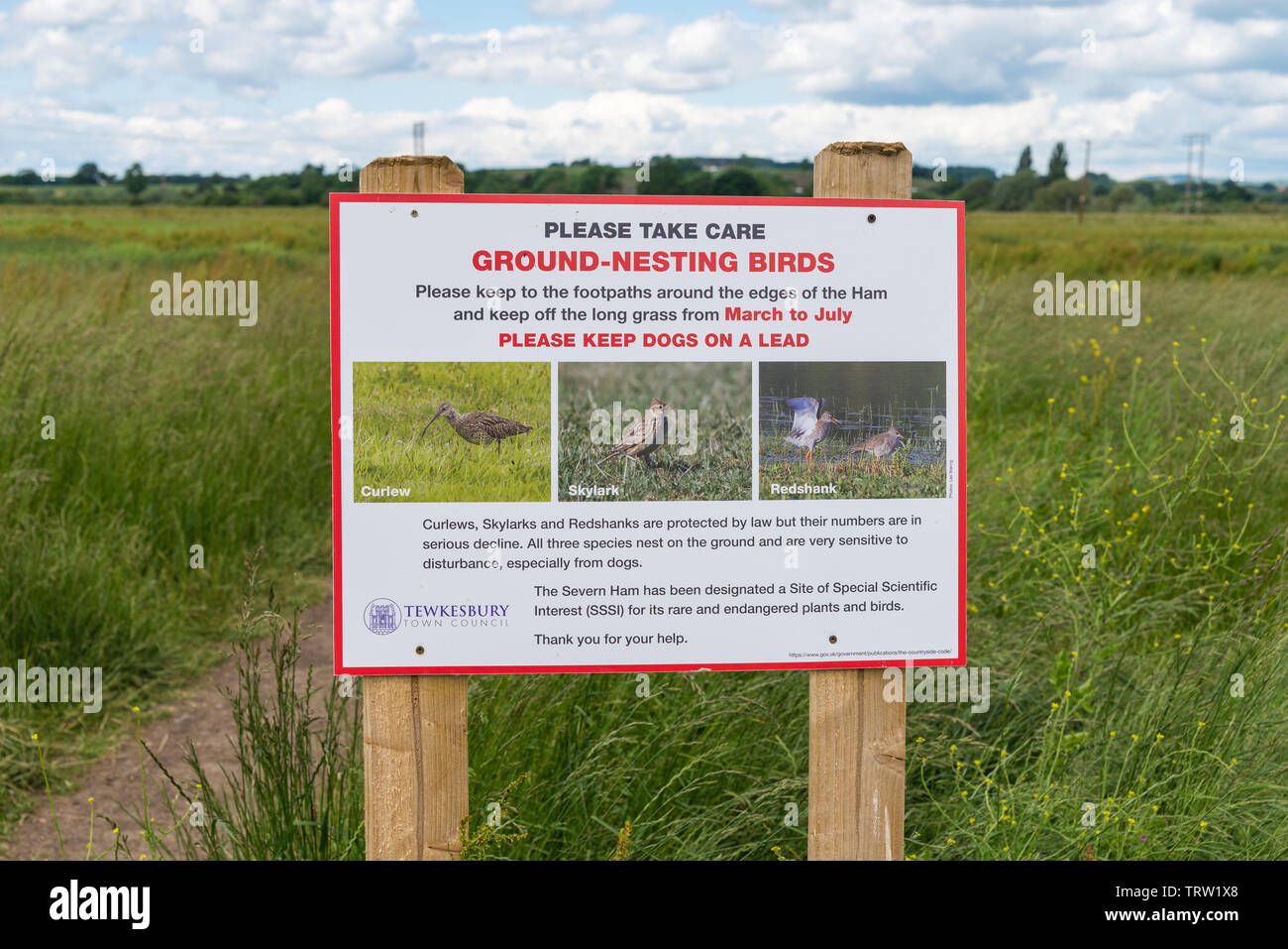 Sign at the entrance to The Ham open land beside the River Avon in Tewkesbury warning about ground-nesting birds Stock Photo