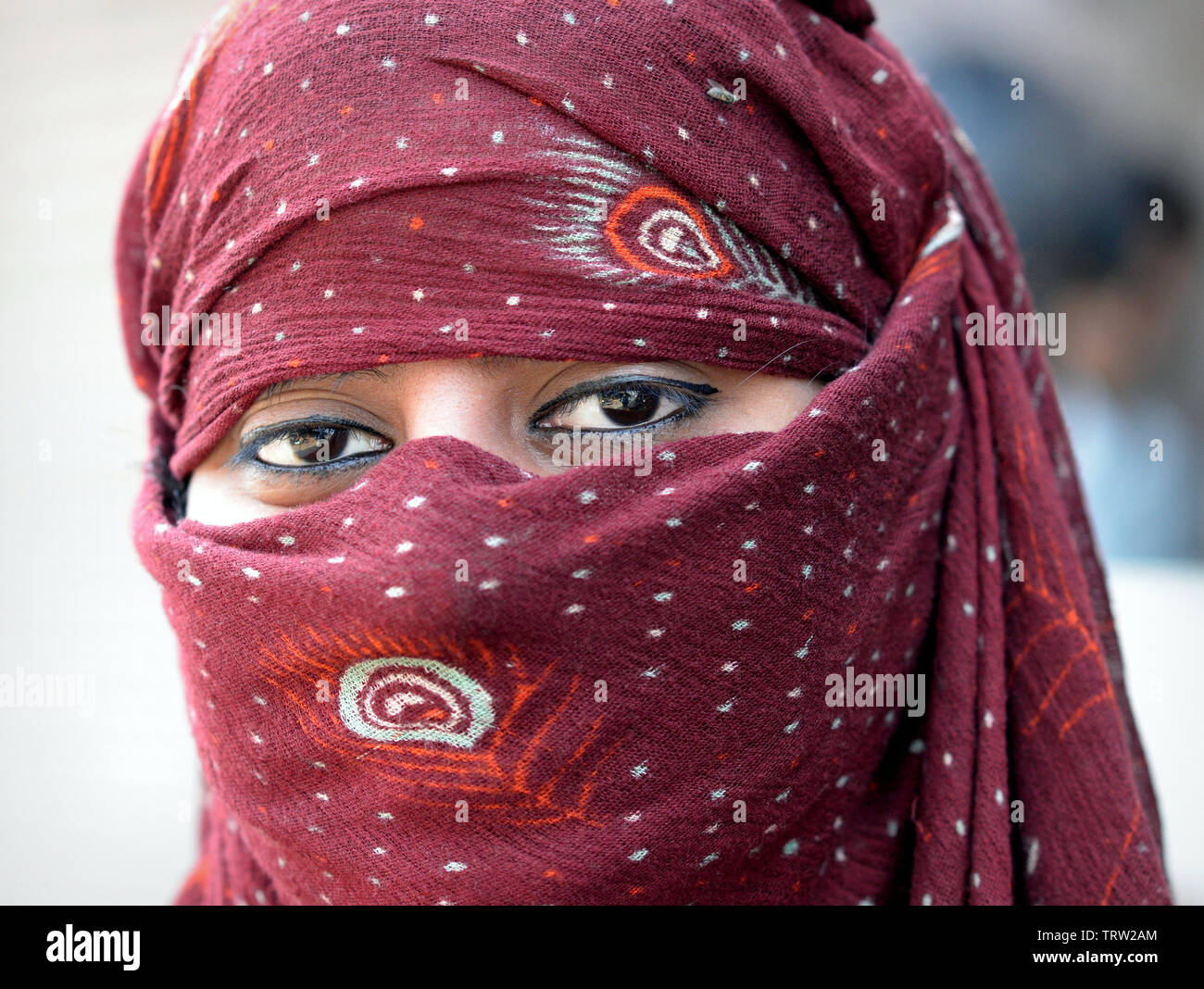 Indian scooter girl protects her hair and lower face with a purple dust veil. Stock Photo