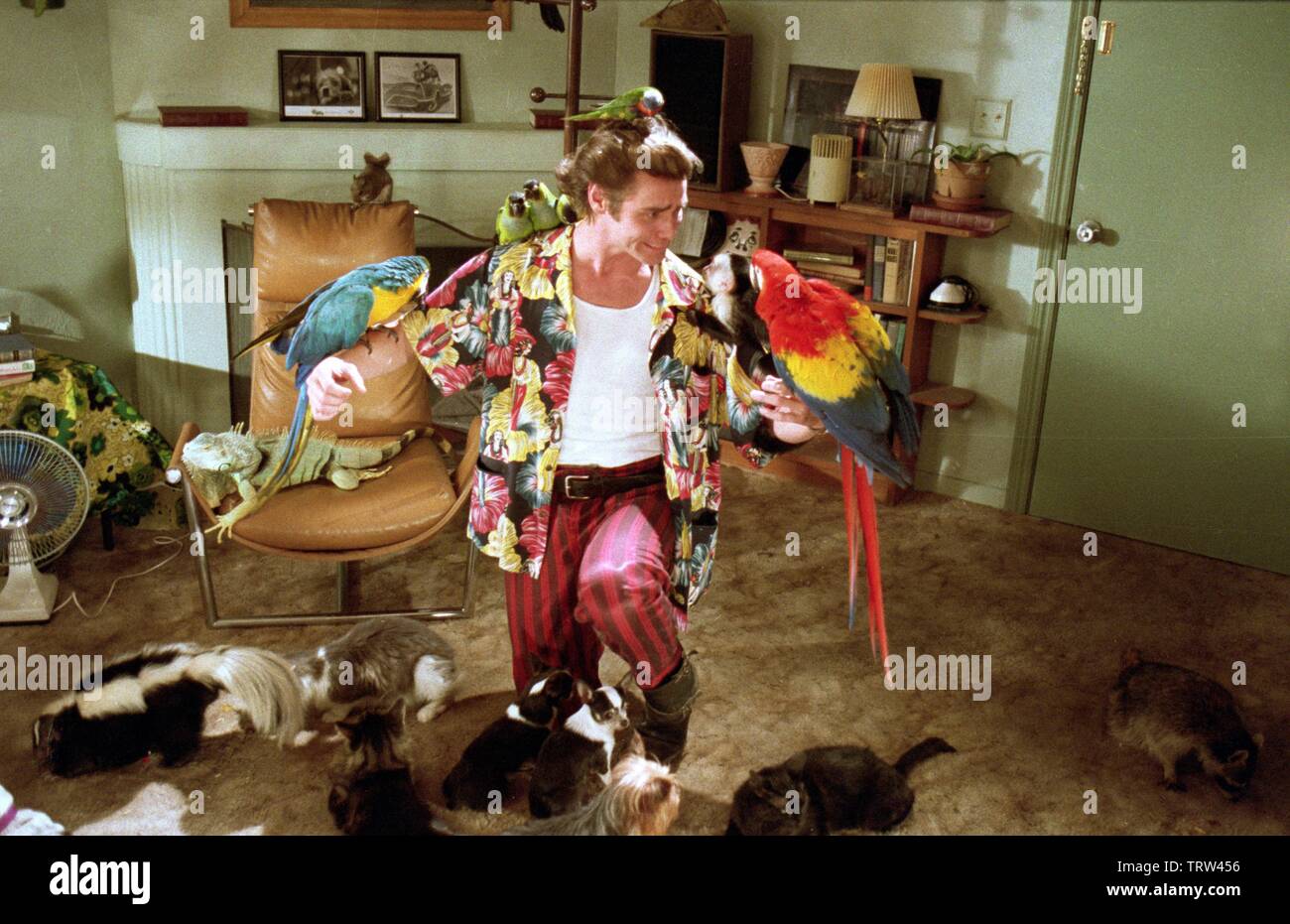 Ace ventura pet detective 1994 hi-res stock photography and images - Alamy