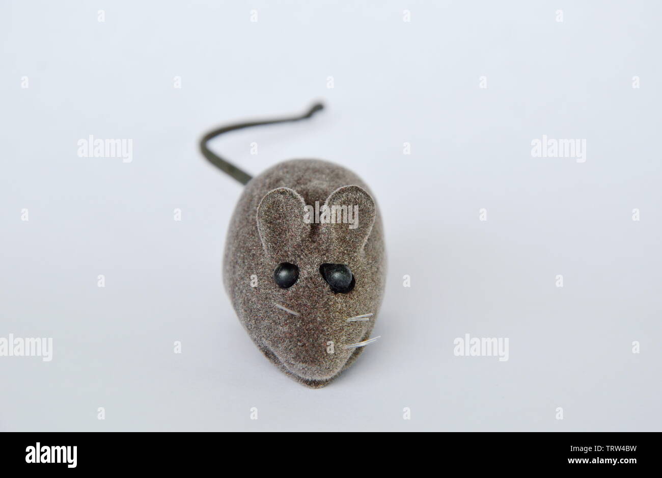 mouse toy for cat play on white background Stock Photo