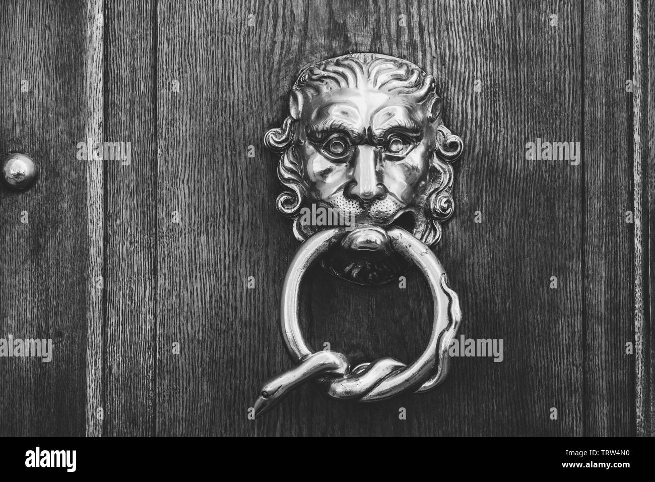 Close-up of a shiny metal lion head with a wound up snake in its mouth on a rustic wooden door - black and white, slightly faded look Stock Photo