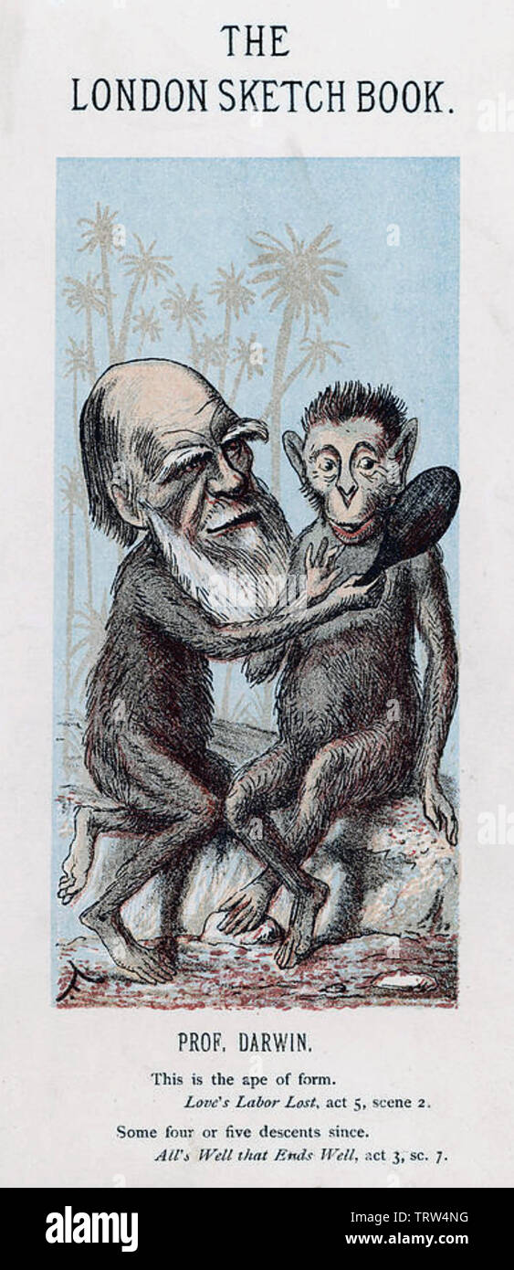 CHARLES DARWIN (1809-1882) Caricature by Faustin Betbeder in the London Sketchbook magazine of 1 January 1874 Stock Photo