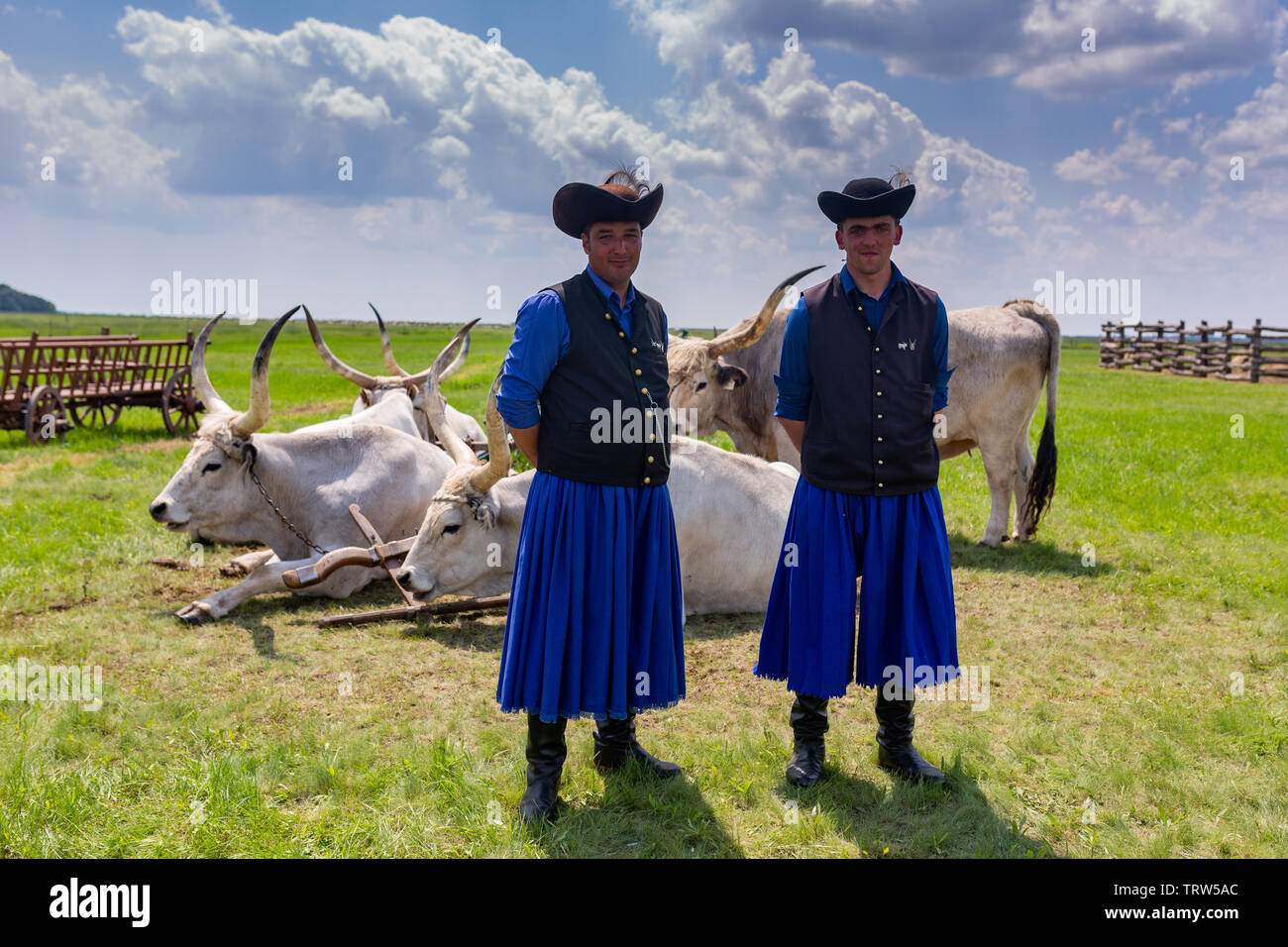 Annual cattle herding shepherd convention in Hortobagy Stock Photo