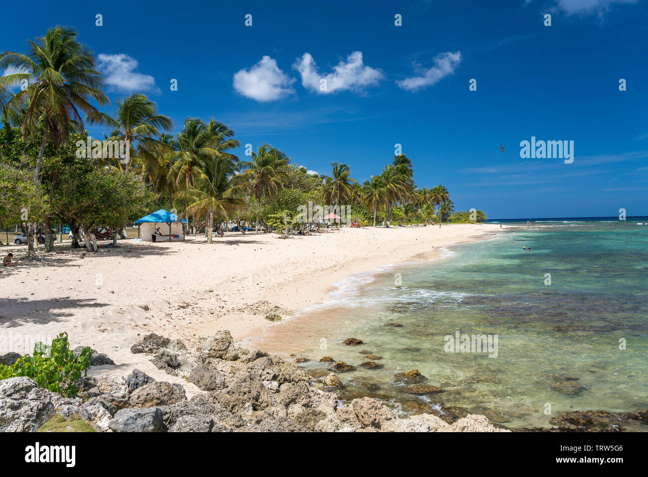 Am Strand Plage de la Chapelle, Anse Bertrand, GrandeTerre, Guadeloupe