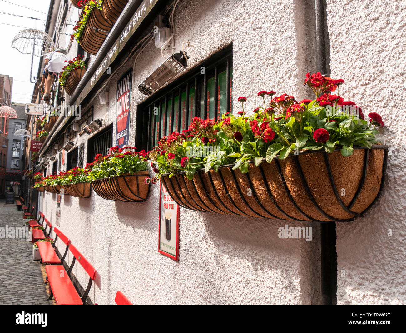 Duke of York Bar, Commercial Court, Belfast Stock Photo Alamy