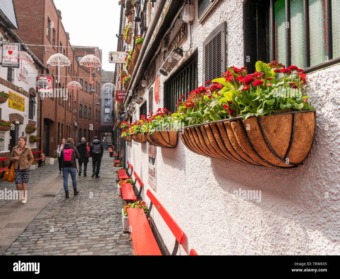 Duke of York Bar, Commercial Court, Belfast Stock Photo Alamy