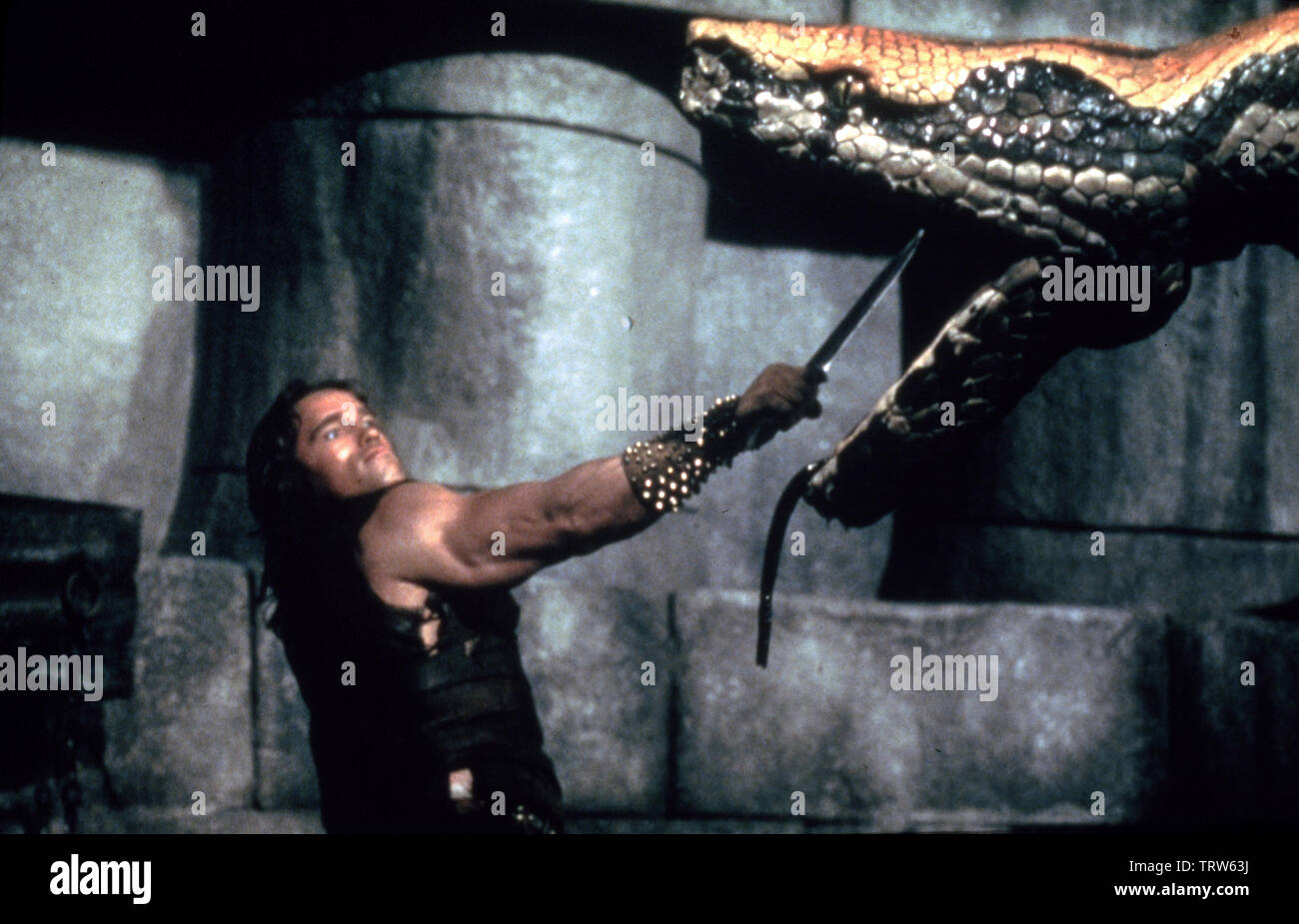 ARNOLD SCHWARZENEGGER in CONAN THE BARBARIAN (1982). Copyright: Editorial use only. No merchandising or book covers. This is a publicly distributed handout. Access rights only, no license of copyright provided. Only to be reproduced in conjunction with promotion of this film. Credit: DE LAURENTIS ENTERTAINMENT GROUP / Album Stock Photo