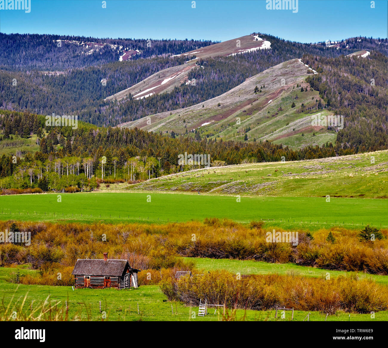 Tom Miner Basin landscape Stock Photo