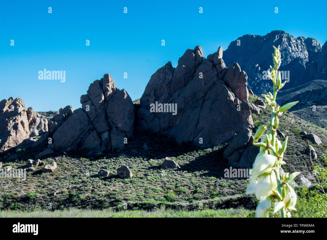 Mike Groves Photography, Landscape Photos Of The Organ Mountains