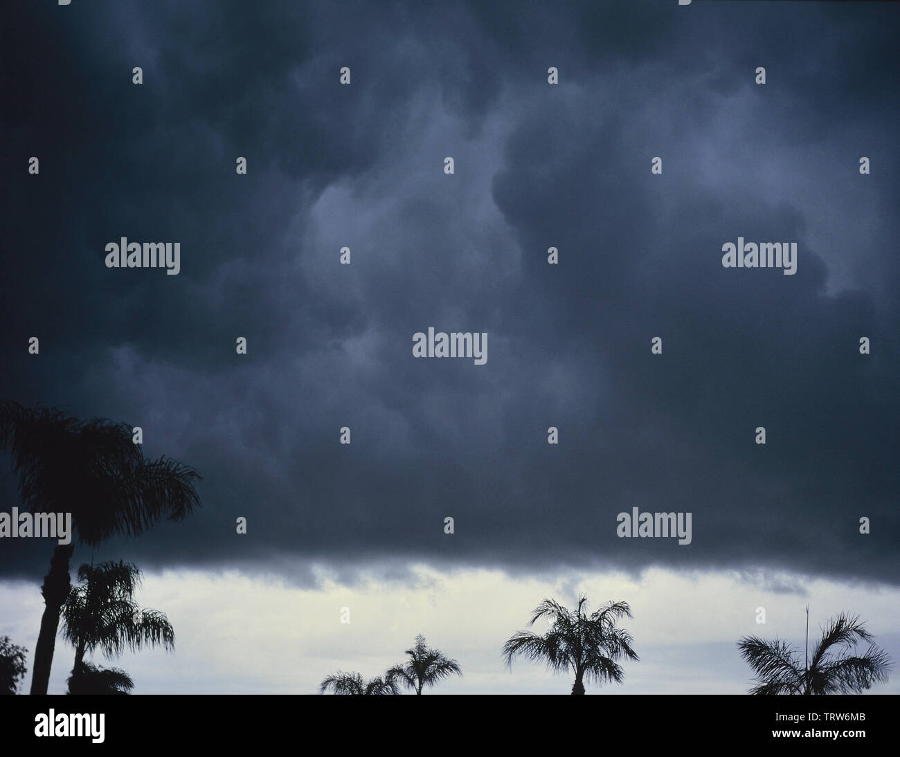 thunderstorm clouds, Florida, USA Stock Photo