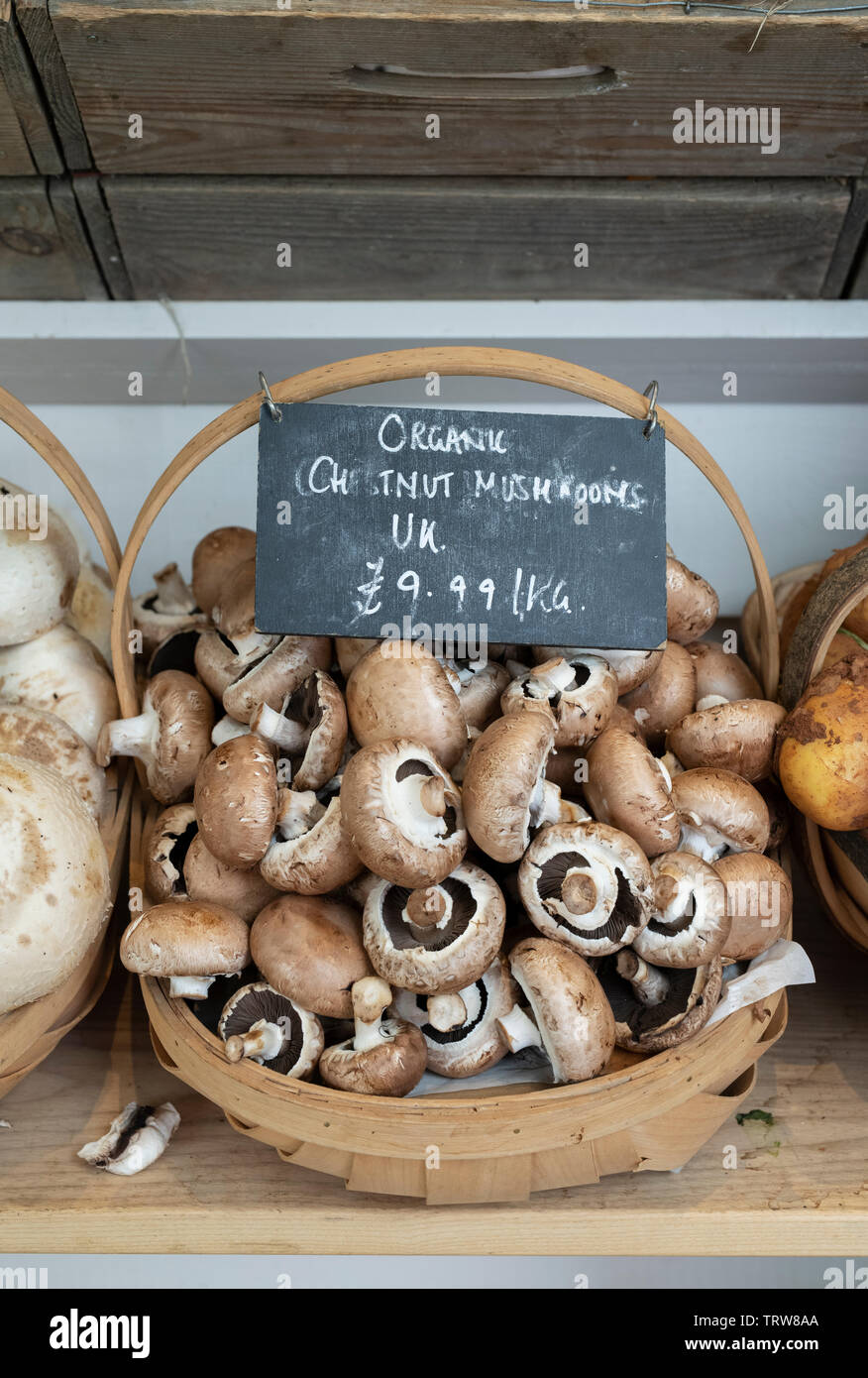 Organic portobello mushrooms for sale at Daylesford Organic farm shop summer festival. Daylesford, Cotswolds, Gloucestershire, England Stock Photo