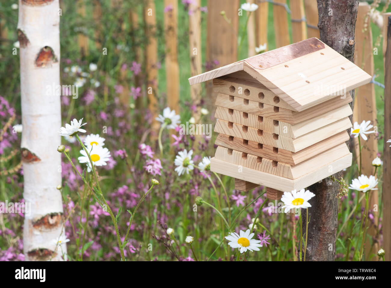 Insect box hires stock photography and images Alamy