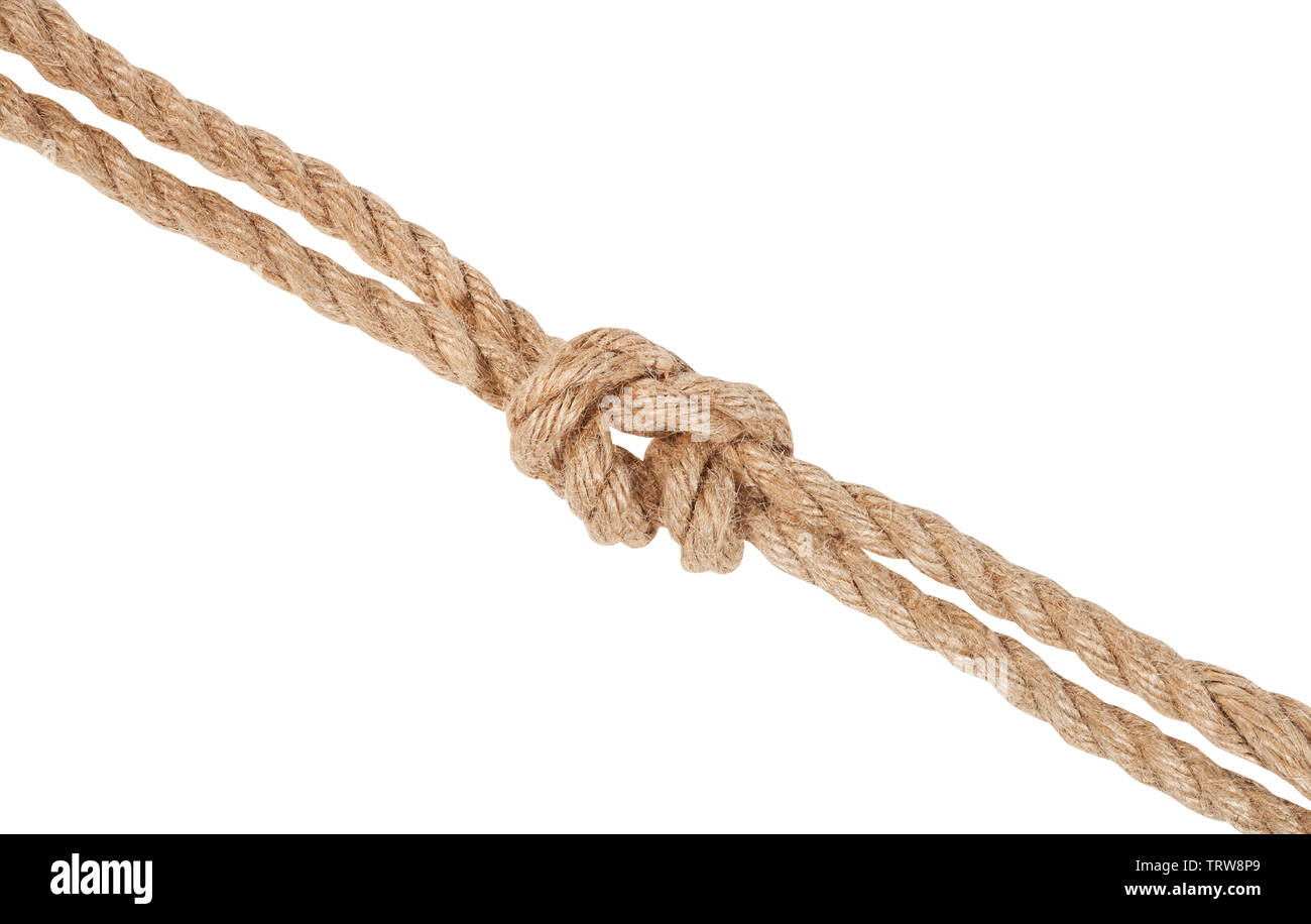 Ropes - intact, with knot and hanging by a thread with frayed tensioned  ends held together by a thin string. Isolated vector illustration on white  background. Stock Vector