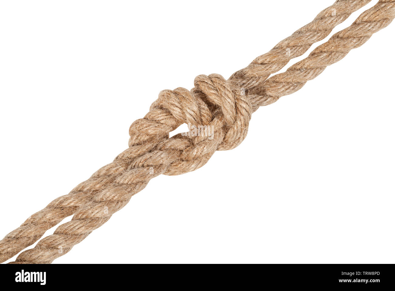another side of surgeon's knot joining two ropes isolated on white