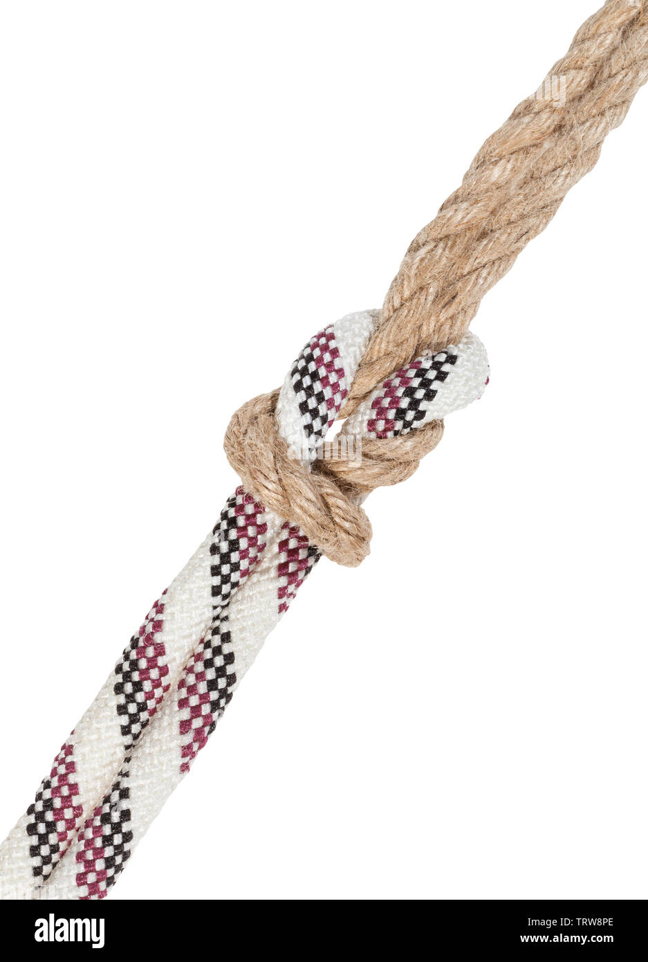 surgeon's knot joining different ropes isolated on white background