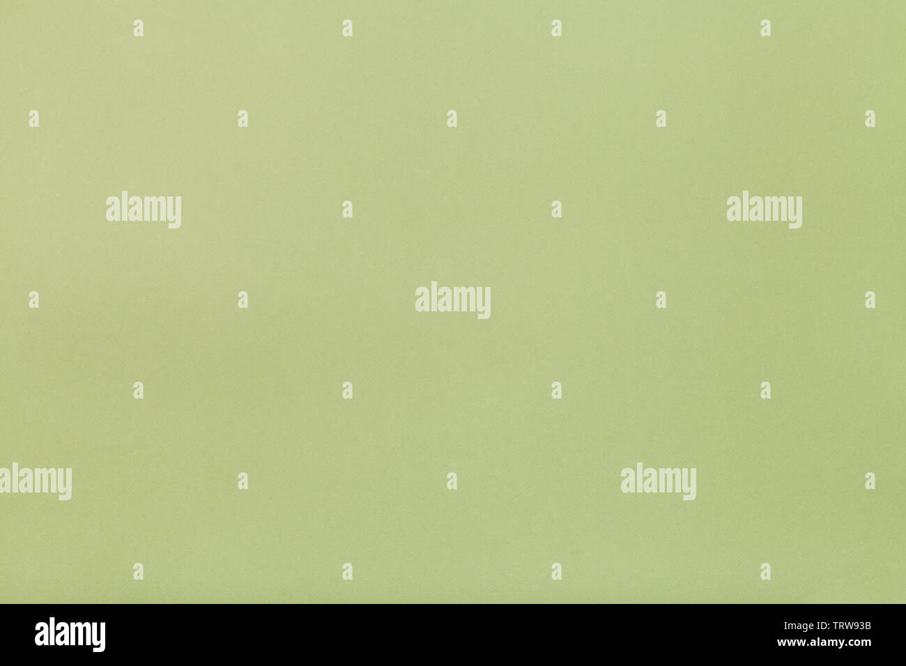 Olive green pastel hi-res stock photography and images - Alamy