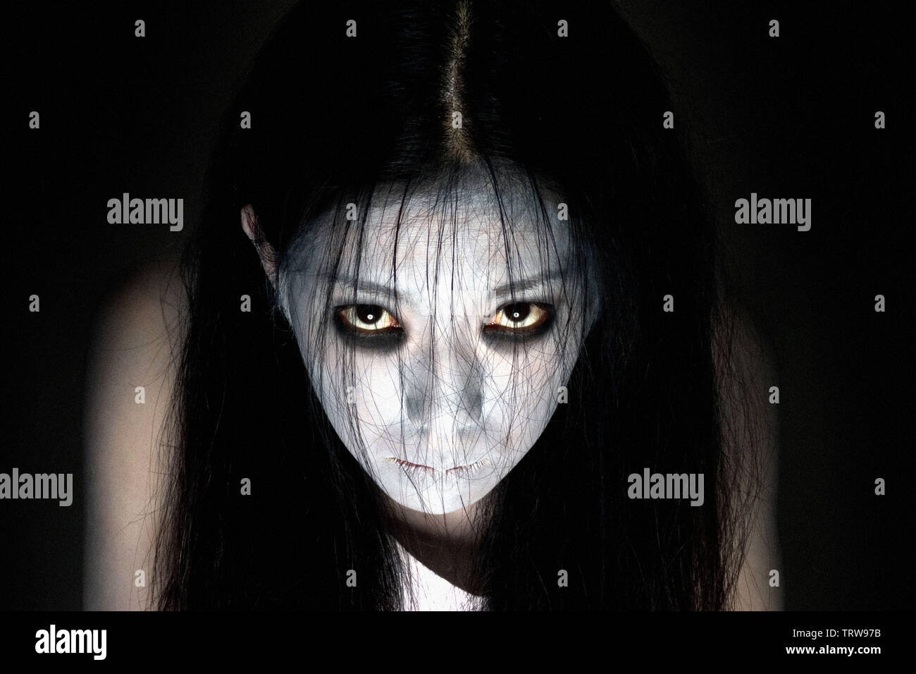 The grudge 2004 deals