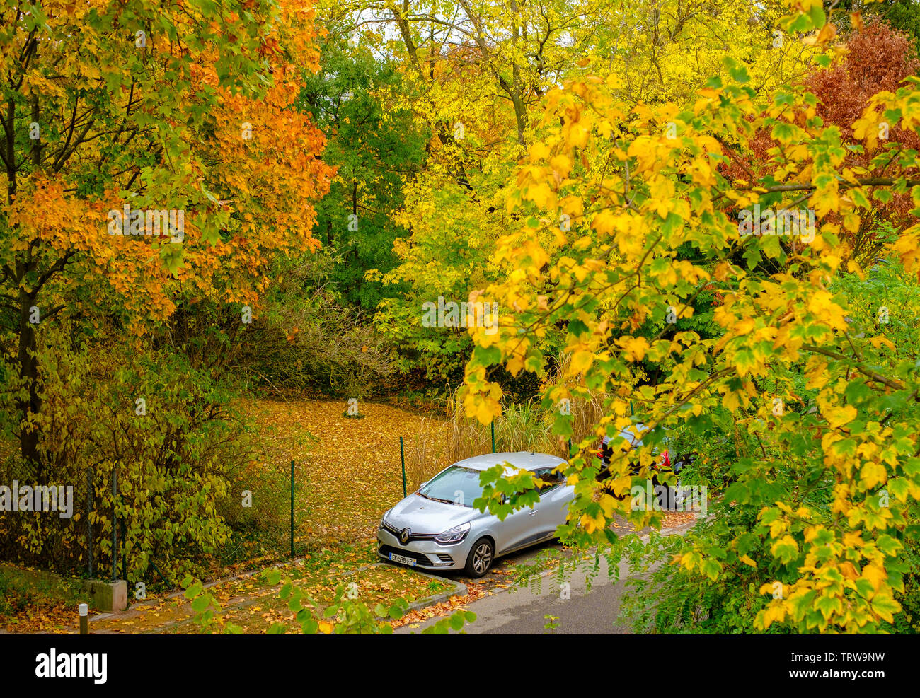 Trees with autumn colours, car parked on street, Strasbourg, Alsace, France, Europe, Stock Photo