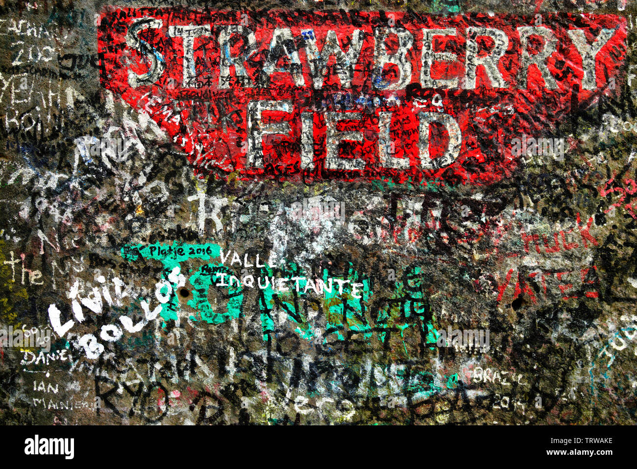 Strawberry Field Stock Photo